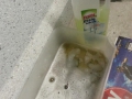 20150725_220057 %28Mittel%29.jpg