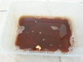 20150801_183704 %28Mittel%29.jpg